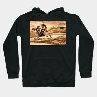 Australian Grassland Landscape Hoodie